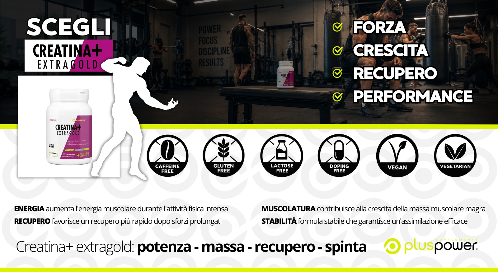 Creatina+ Extragold: potenza - massa - recupero - spinta