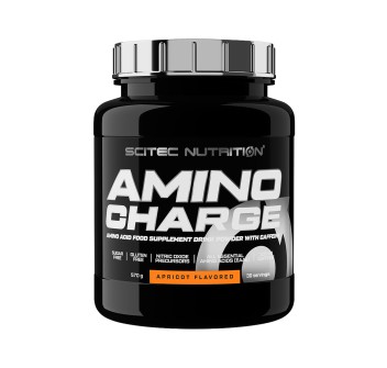Amino Charge 570gr