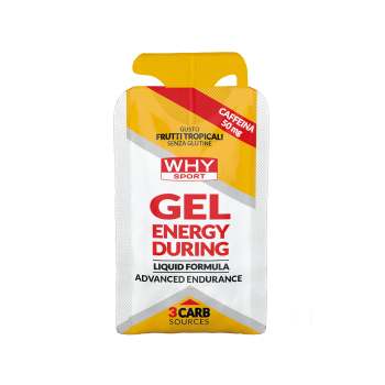 Gel Energy During WHYsport energetico caffeina carboidrati 30ml tropicali