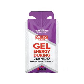 Gel Energy During WHYsport energetico carboidrati 30ml frutti di bosco