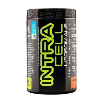 Intracell Liposomiale Net Integratori Intra Workout Idratazione Energia Arancia