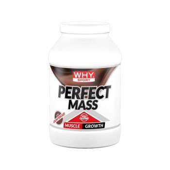 PERFECT MASS - Gainer delattosato di alta qualità. WHY SPORT