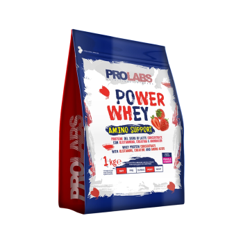 Power Whey Amino Support 1kg