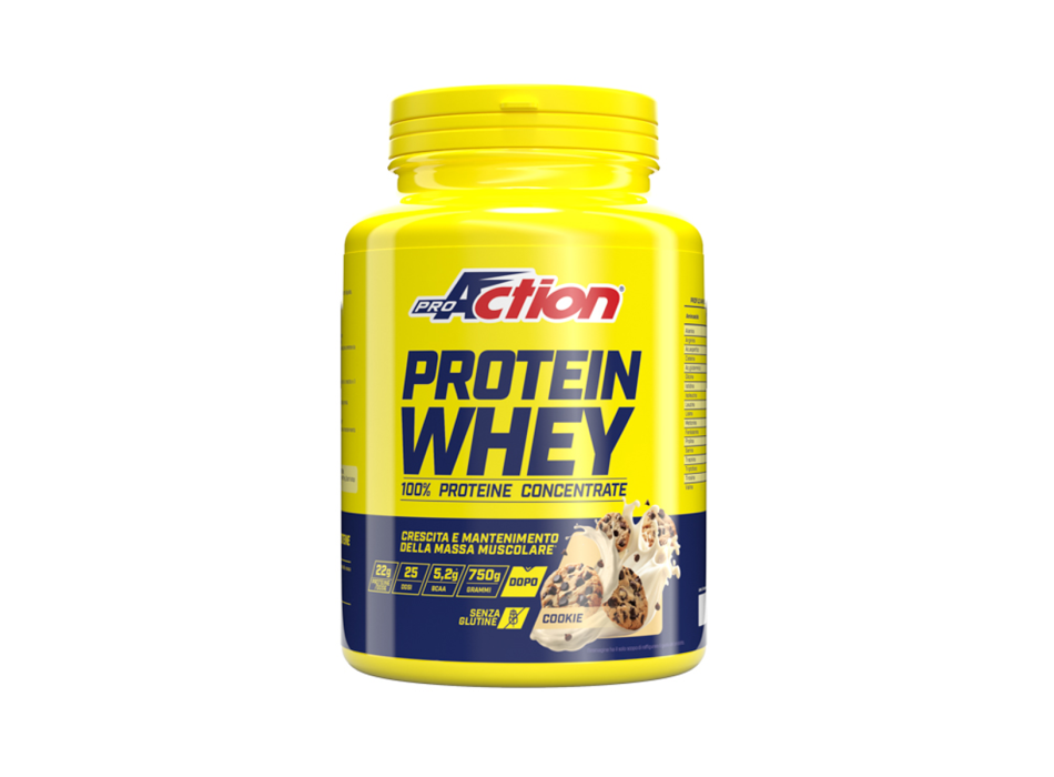 Protein Whey ProAction proteine del siero del latte concentrate 750g Biascotto