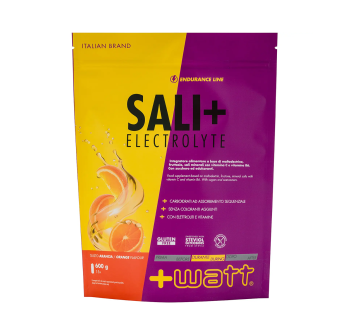 sali electrolyte watt sali minerali magnesio potassio carboidrati 600g Arancia