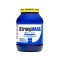 Strong Mass 2400gr