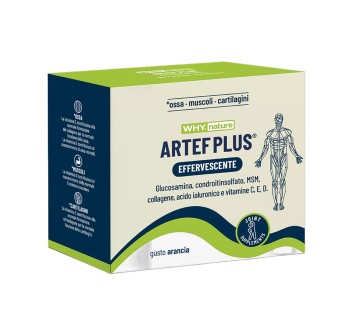 Why Nature Artef Plus articolazioni glucosamina condroitina MSM 24 bustine